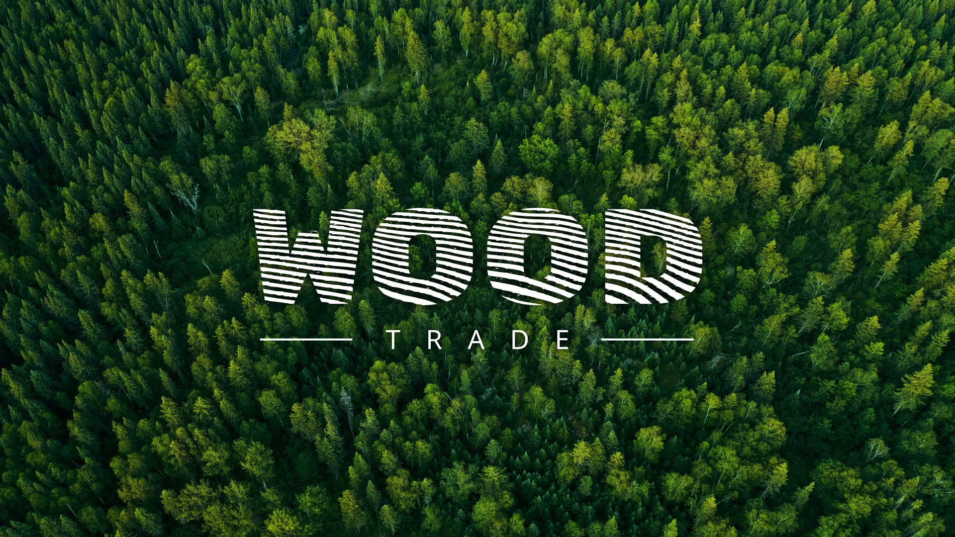 Разработка интернет-магазина компании «Wood Trade» в Волоколамске